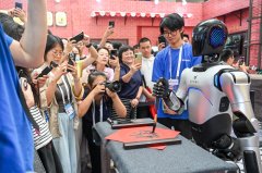 “摸索人工智能办事可逃溯办理轨制”